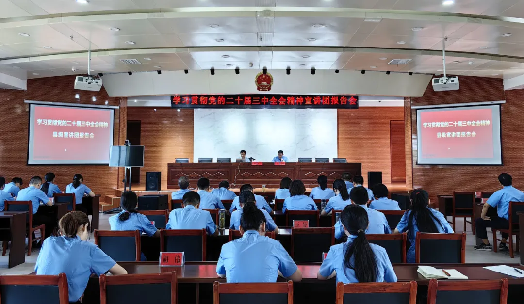 专题报告.jpg