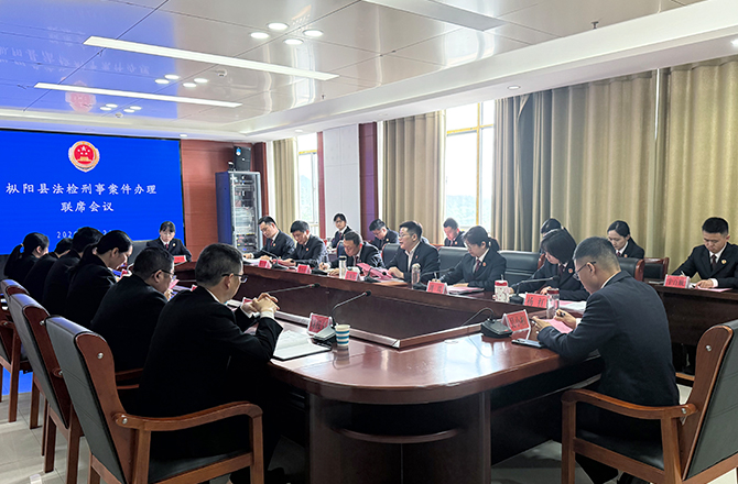 凝聚检法合力，共护司法公正——枞阳县检法两院召开刑事案件办理联席会议