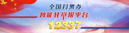 全国扫黑办智能化举报平台